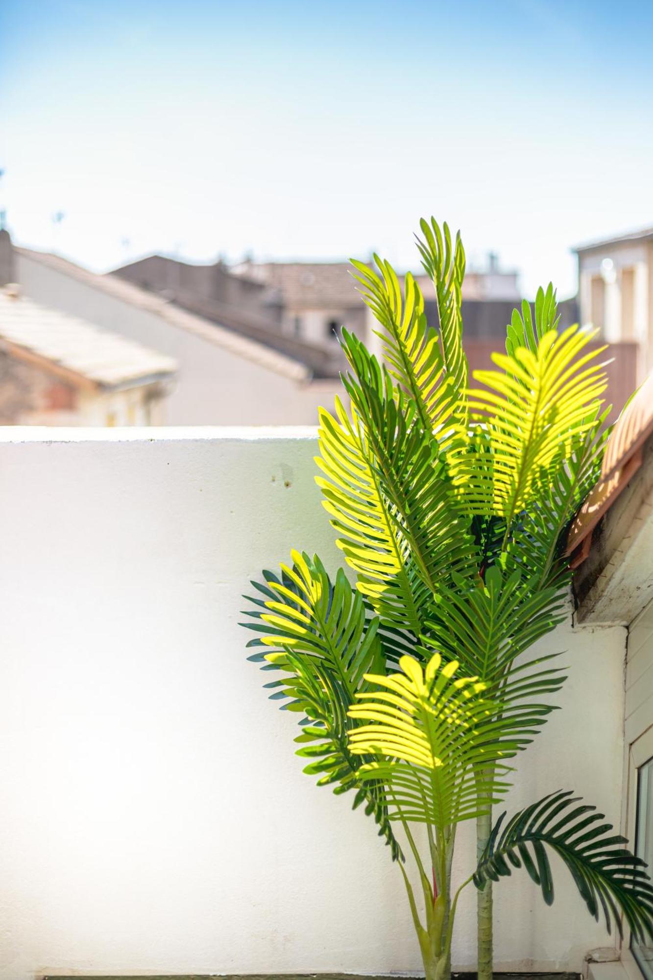 Le Albert 1Er Beziers Appartements Tout Equipes Bagian luar foto