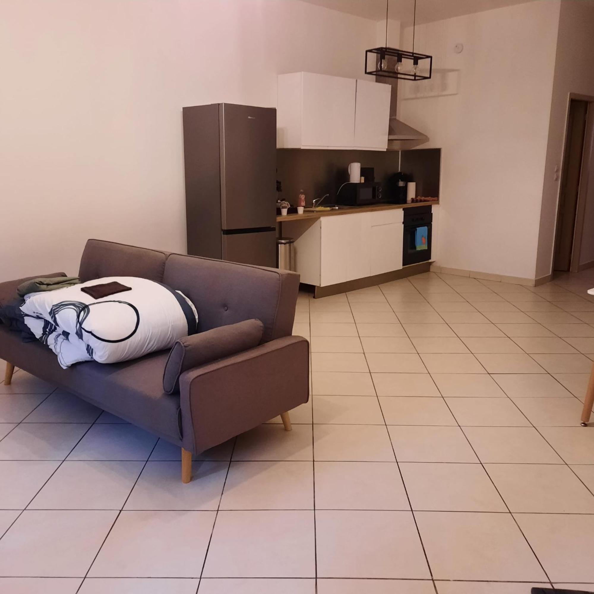 Le Albert 1Er Beziers Appartements Tout Equipes Bagian luar foto